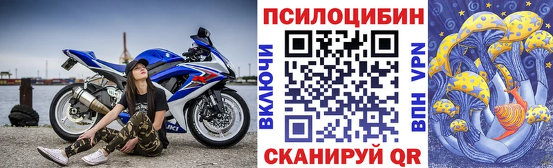 Псилоцибиновые грибы мухоморы  дарнет шоп  Юрьевец 